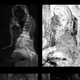 “Distribution maps of a few elements characteristic of the pigments present in the different paint layers of La Miséreuse accroupie. © Northwestern University/Art Institute of Chicago Center for Scientific Studies in the Arts (NU-ACCESS)“